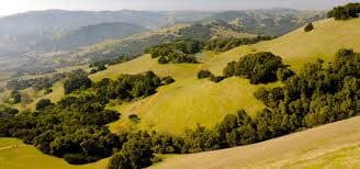 Novato Hills