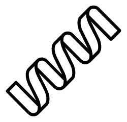 Protein Characterization, enzyme activity, antibody